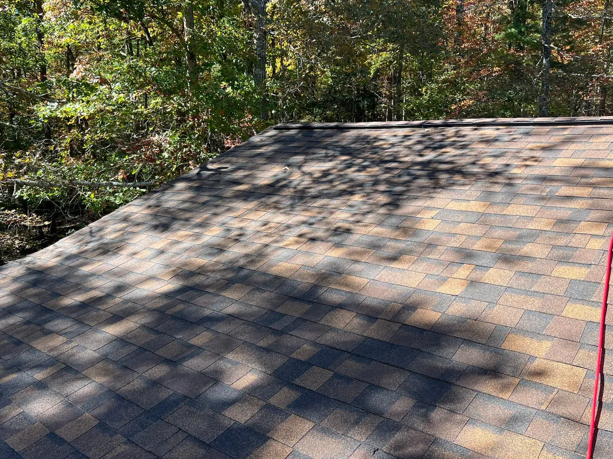 Full shingle plane under moving tree shade, mixed hardwoods crowding right up to the eave
