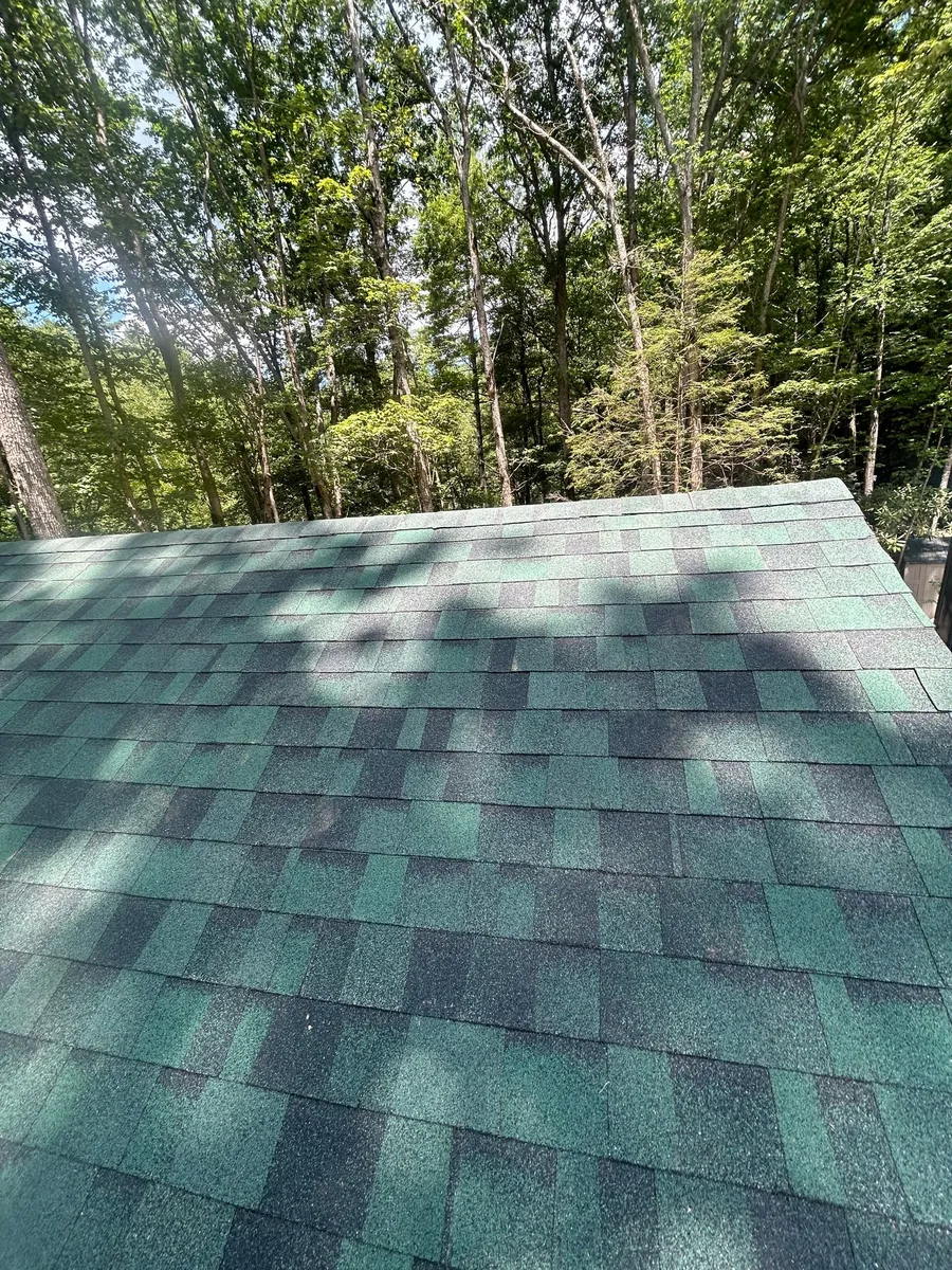 Ridge line of a green shingle roof with dense summer hardwoods rising behind it