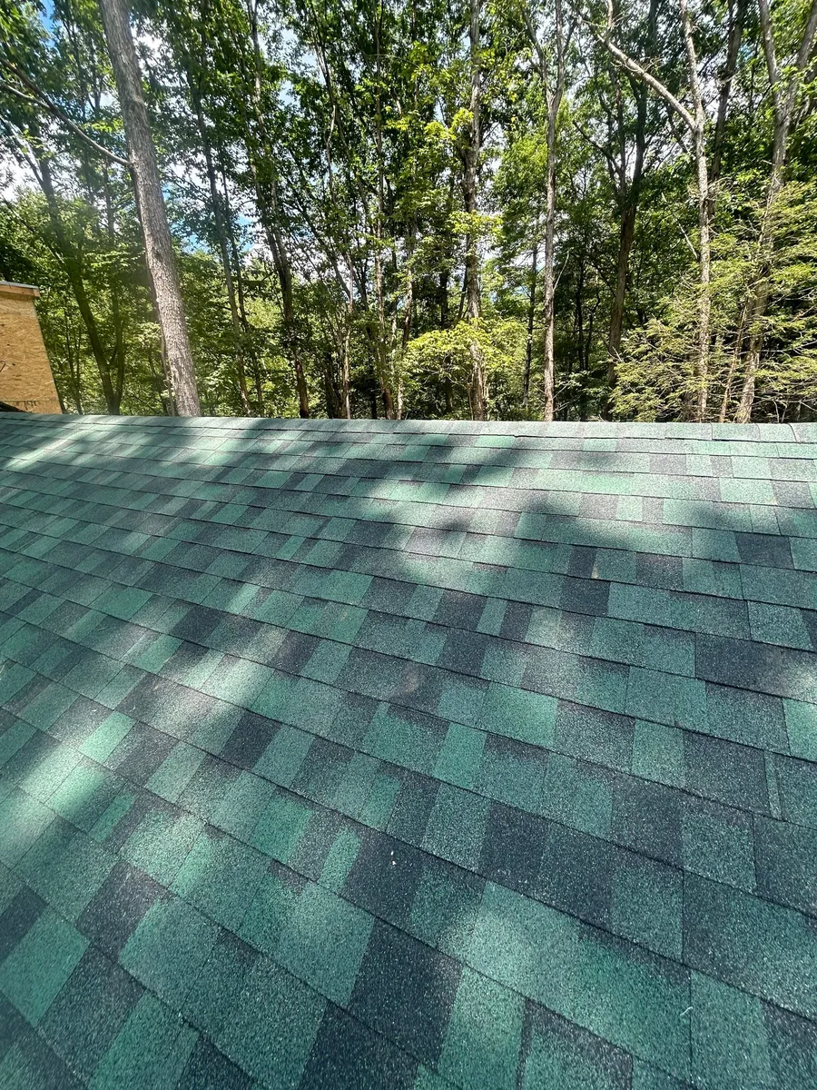 Green architectural shingles under dappled shade from the hardwood canopy overhead