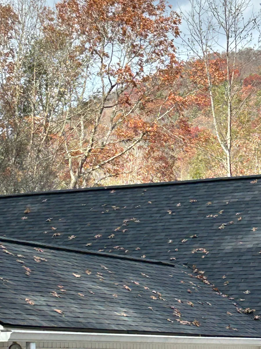 Shingle roof edge against thinning autumn trees on a north Georgia hillside