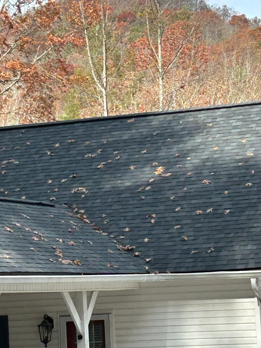 Dark shingle roof slope with autumn hardwoods and a bare ridge line rising behind it